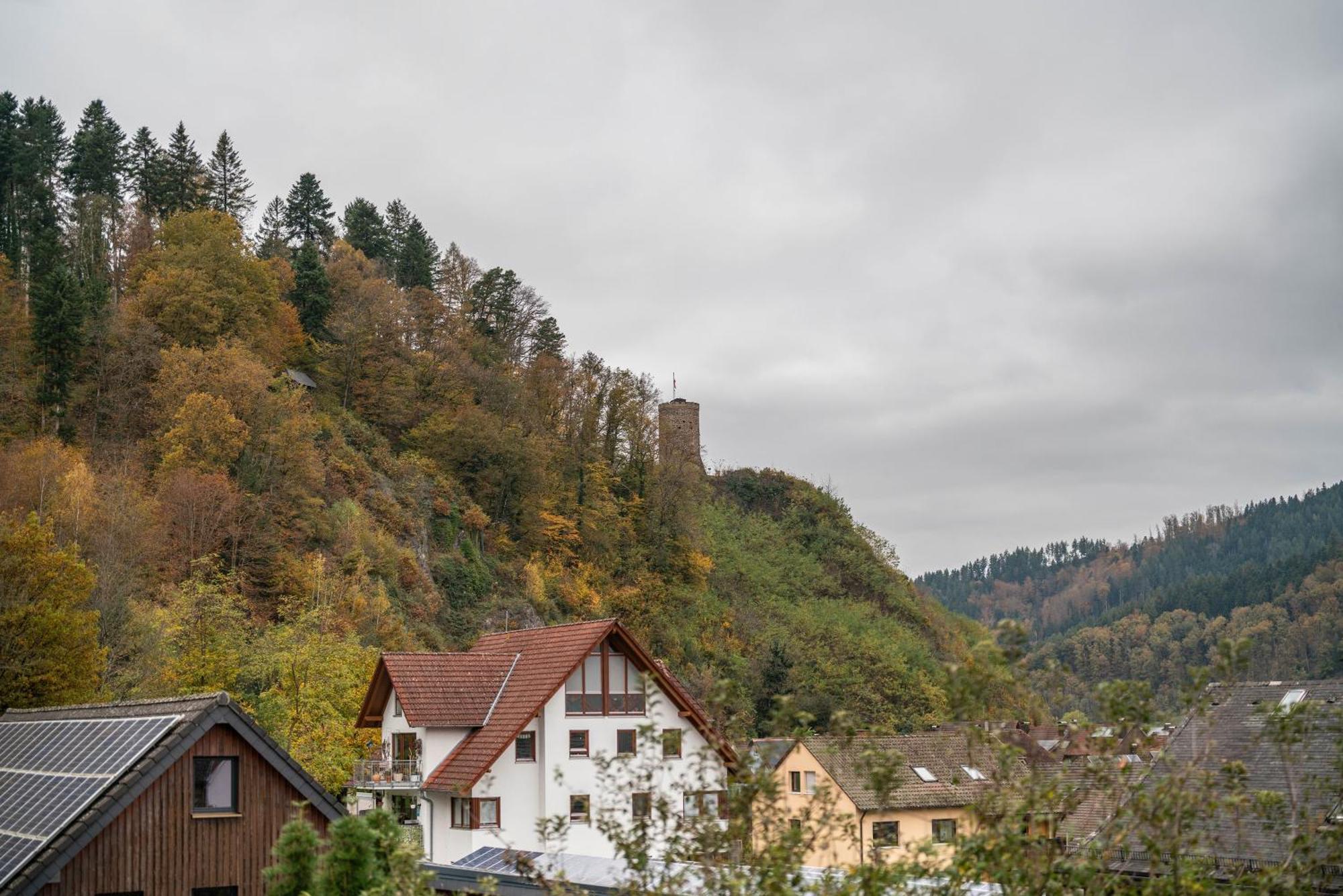 Appartement Burgblick